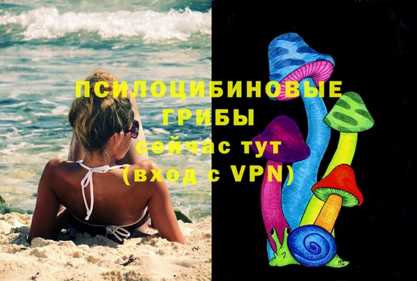 гашик Алексеевка