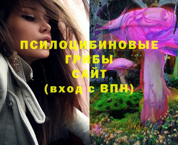 бутират Алзамай