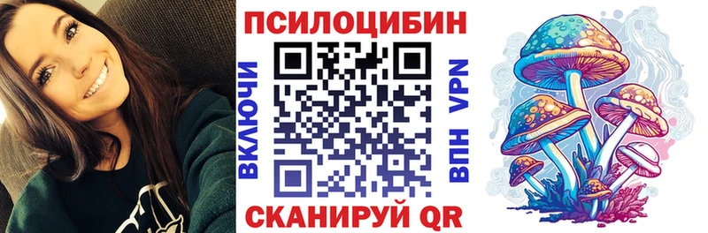Галлюциногенные грибы Psilocybe  Богучар 